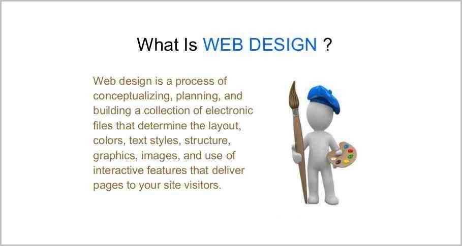 Can I do web designing after 12th?